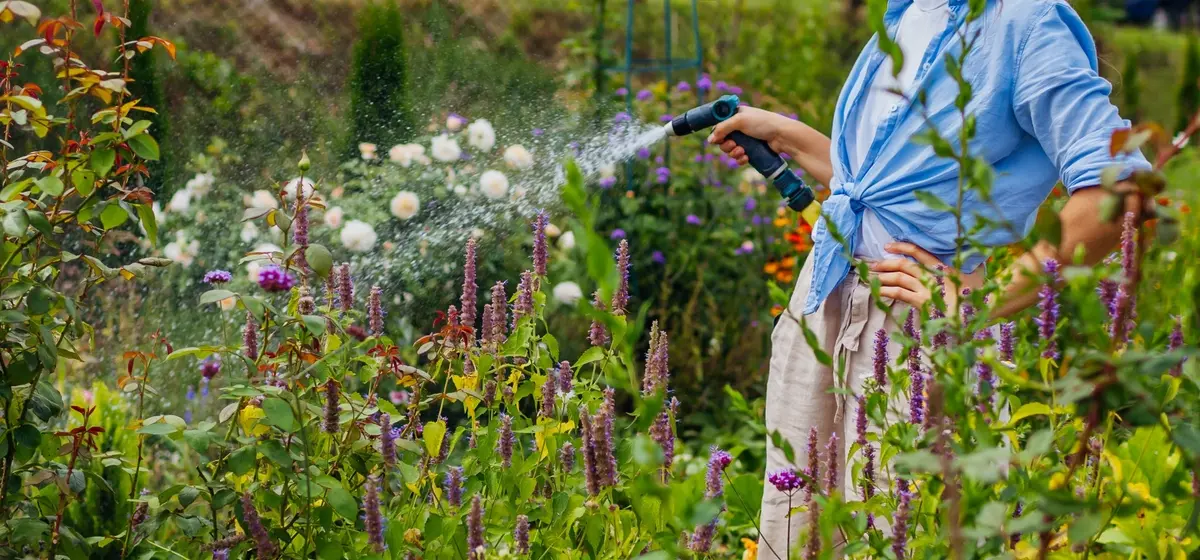 Tuinplanten #6397d1