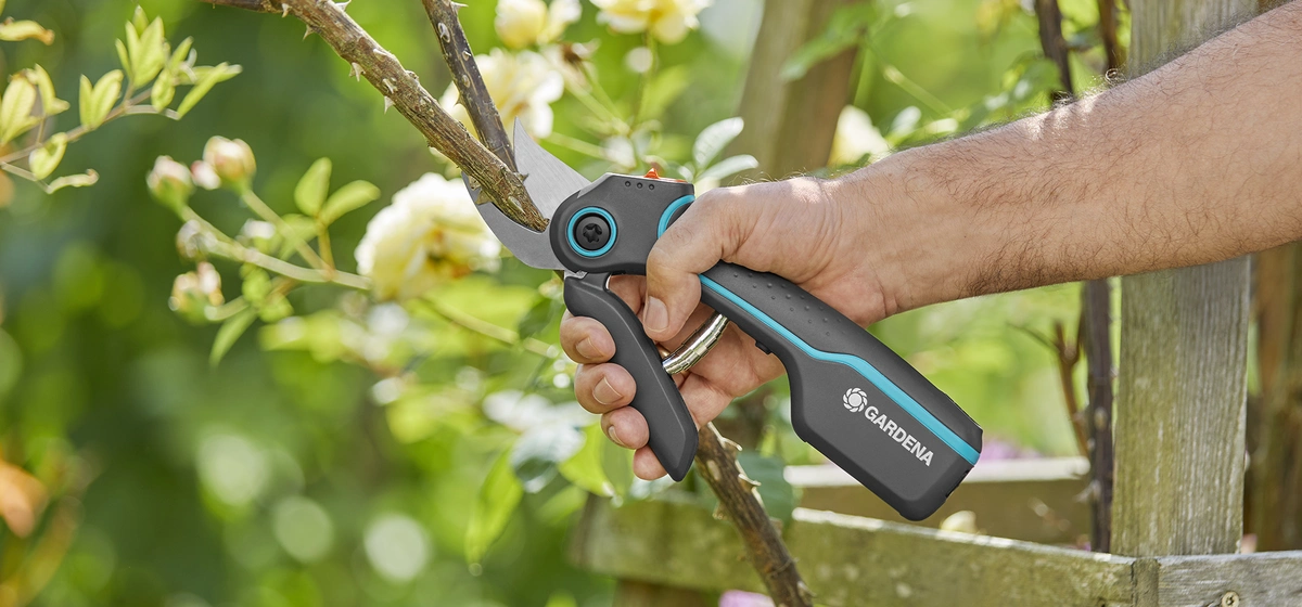 Tuintools #4b6d23