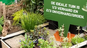 Een duurzame tuin: bezoek ons Groen Klimaatplein!