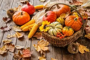 Groene tips en activiteiten voor de herfstvakantie