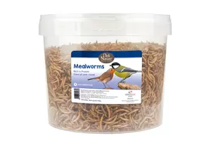 Meelwormen 700 gram