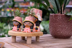 Woondecoratie